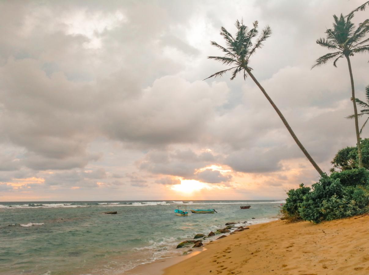 White Villa Beach Resort Mirissa Exteriör bild