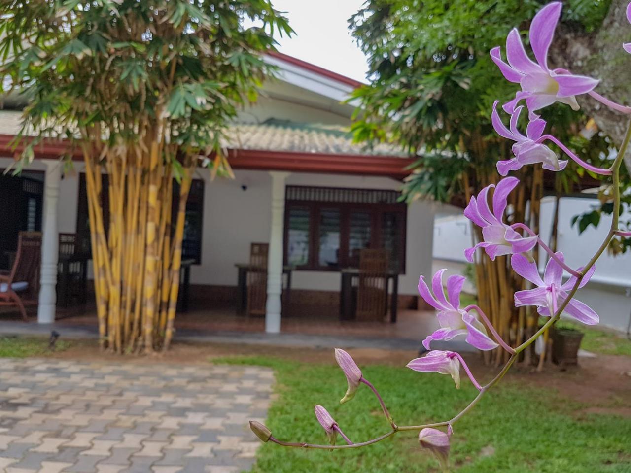 White Villa Beach Resort Mirissa Exteriör bild